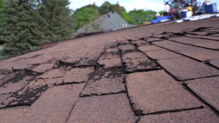 Best Chimney Flashing Repair  in Lincoln, IL